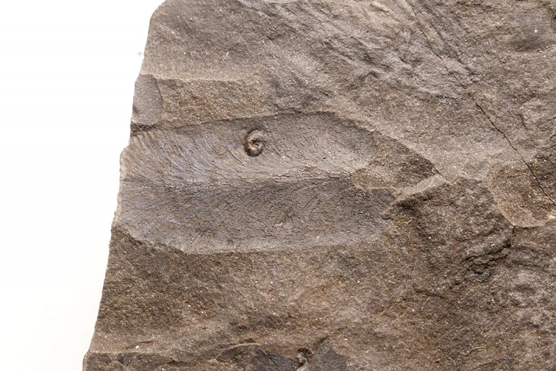 Eygelshoven_LJBX_5.JPG