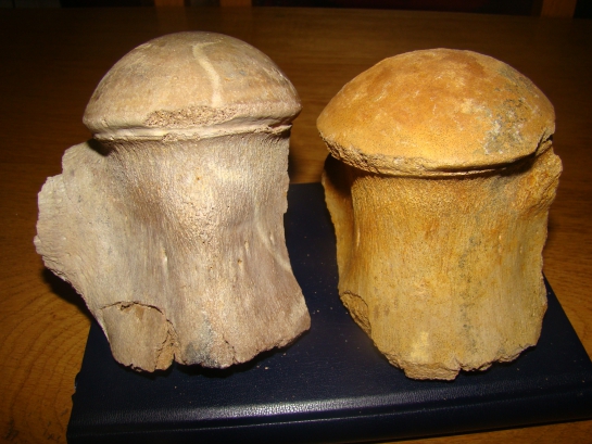 561679978DSC05494.jpg