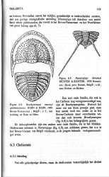 De Geschiedenis van het Leven 5a (example 1).jpg