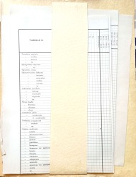 Nieuwe Geologisch-Paleontologische (charts).jpg
