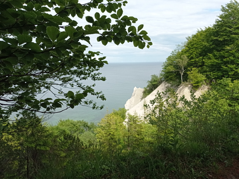 IMG_20250602_153342 Møns Klint.jpg