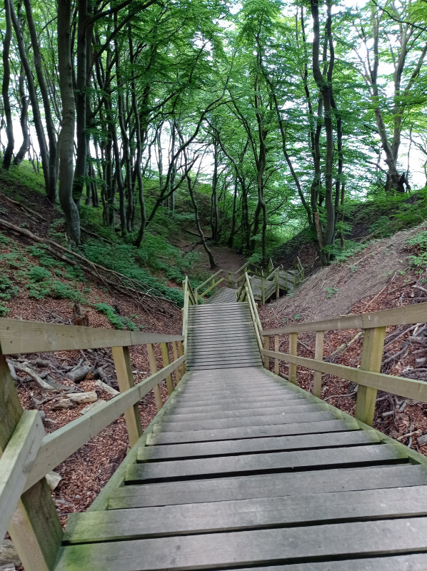 IMG_20250602_171951 Møns Klint.jpg