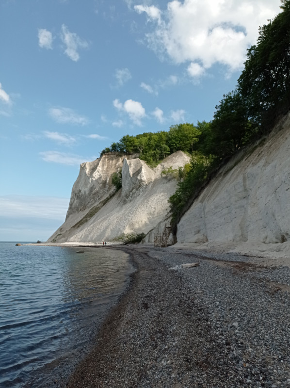 IMG_20250602_170958 Møns Klint.jpg