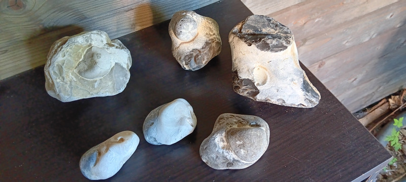 20250811_083542.jpg