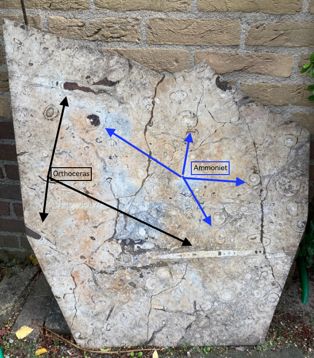 Schermafbeelding 2025-08-13 om 20.33.51.png