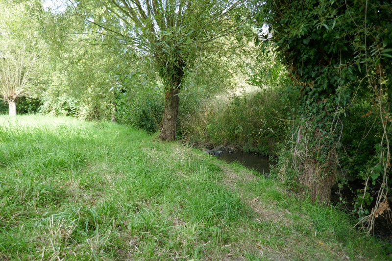 P1070047.JPG