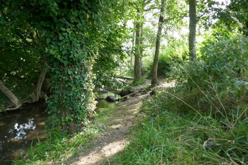 P1070048.JPG