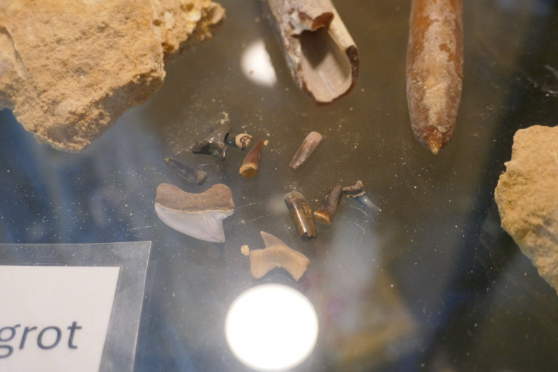 P1070161.JPG