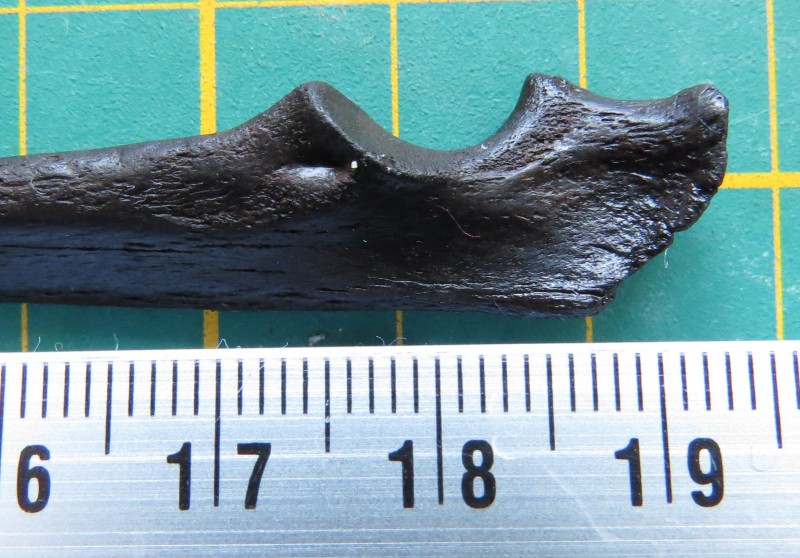 ZM 04-04-2020 Ellepijp-3.jpg (586.67 KiB) 485 keer bekeken ZM 04-04-2020 Ellepijp-3.jpg