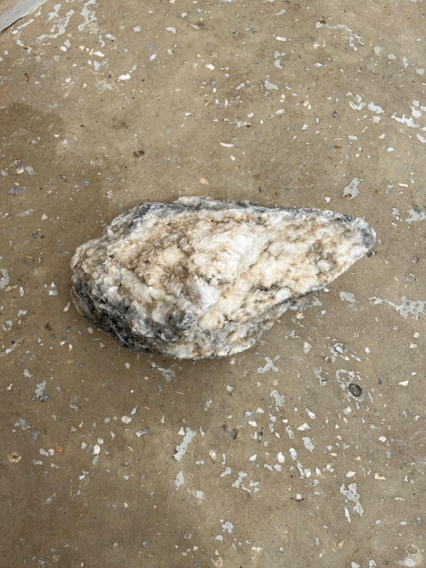 07309716-0c23-44de-9509-1fa53f548d1a.jpeg