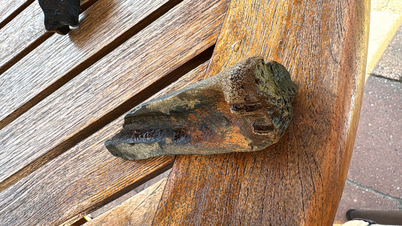 36F0787B-E94A-42D9-AEF9-3132BABF2510.jpeg (3.33 MiB) 4599 keer bekeken 36F0787B-E94A-42D9-AEF9-3132BABF2510.jpeg