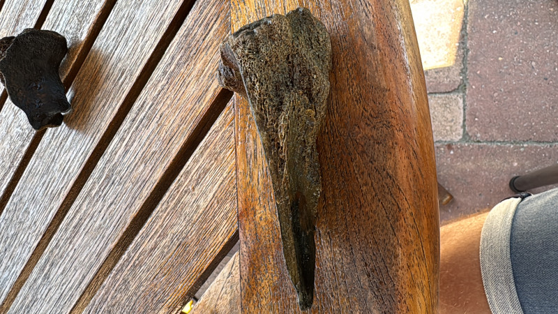 0A6812E5-E27B-43CB-BF35-4114BBB87159.jpeg (3.18 MiB) 5298 keer bekeken 0A6812E5-E27B-43CB-BF35-4114BBB87159.jpeg