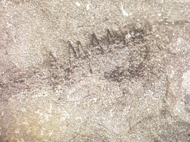 PV001.jpg