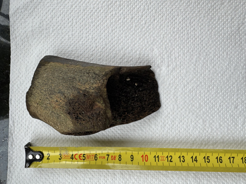 IMG_5534.jpeg (3.12 MiB) 9418 keer bekeken IMG_5534.jpeg