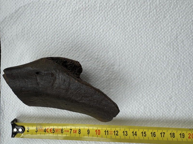 IMG_5535.jpeg (3.2 MiB) 9418 keer bekeken IMG_5535.jpeg