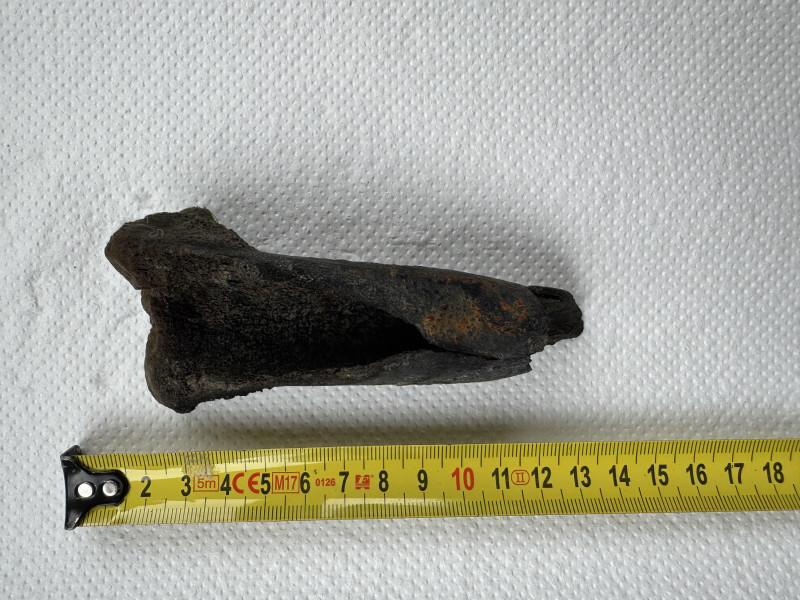 IMG_5541.jpeg (3.18 MiB) 3267 keer bekeken IMG_5541.jpeg