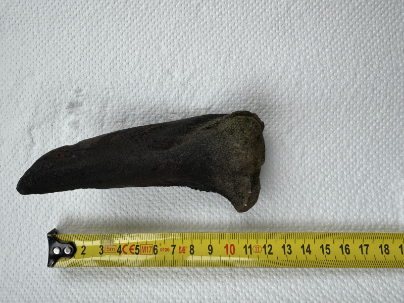 IMG_5542.jpeg (3.12 MiB) 9418 keer bekeken IMG_5542.jpeg