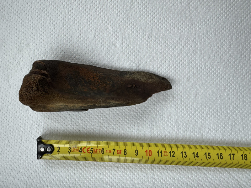 IMG_5539.jpeg (3.13 MiB) 9418 keer bekeken IMG_5539.jpeg