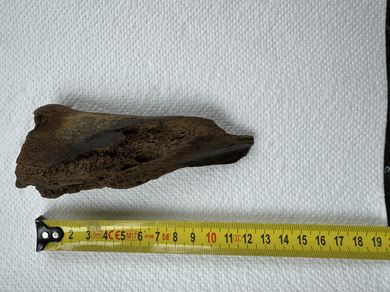 IMG_5540.jpeg (3.18 MiB) 9418 keer bekeken IMG_5540.jpeg