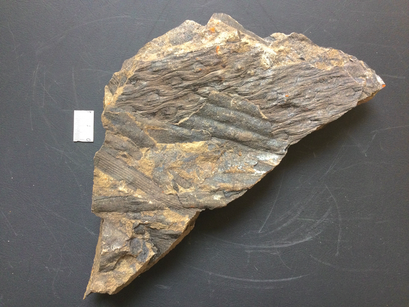 8. Nog een verzameling