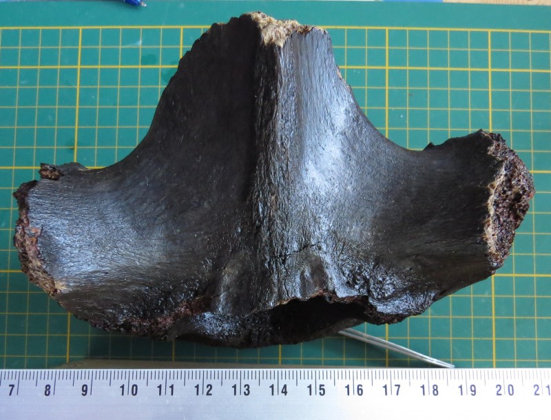 ZM 11-04-2020 Wervel groot-3.jpg (807.17 KiB) 519 keer bekeken ZM 11-04-2020 Wervel groot-3.jpg