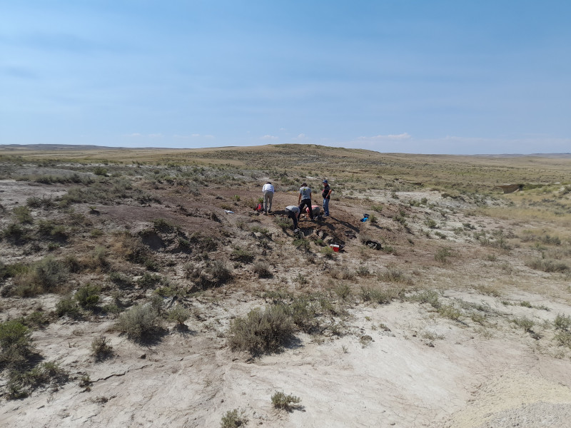 Onze opgraafsite in de middel of nowhere in de amerikaanse prairi
