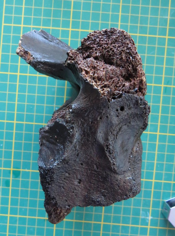 ZM 11-04-2020 Wervel groot-4.jpg (710.93 KiB) 519 keer bekeken ZM 11-04-2020 Wervel groot-4.jpg