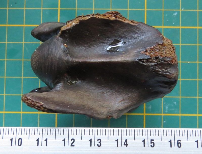 ZM 11-04-2020 Wervel klein-1.jpg (451.72 KiB) 657 keer bekeken ZM 11-04-2020 Wervel klein-1.jpg