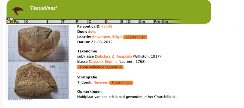 Schermafbeelding 2025-10-08 om 10.20.10.png