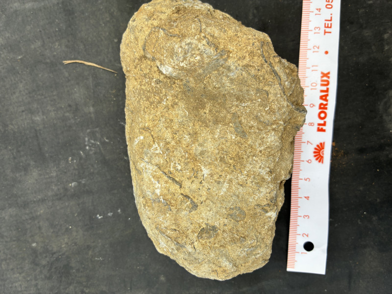 IMG_2499.jpeg (6.04 MiB) 3330 keer bekeken IMG_2499.jpeg