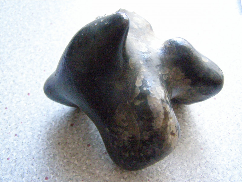 PA250012.JPG