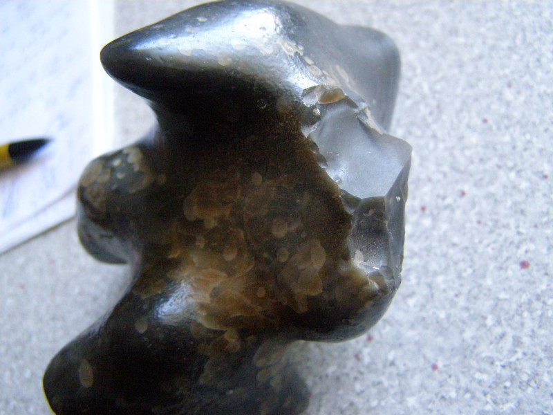 PA250013.JPG