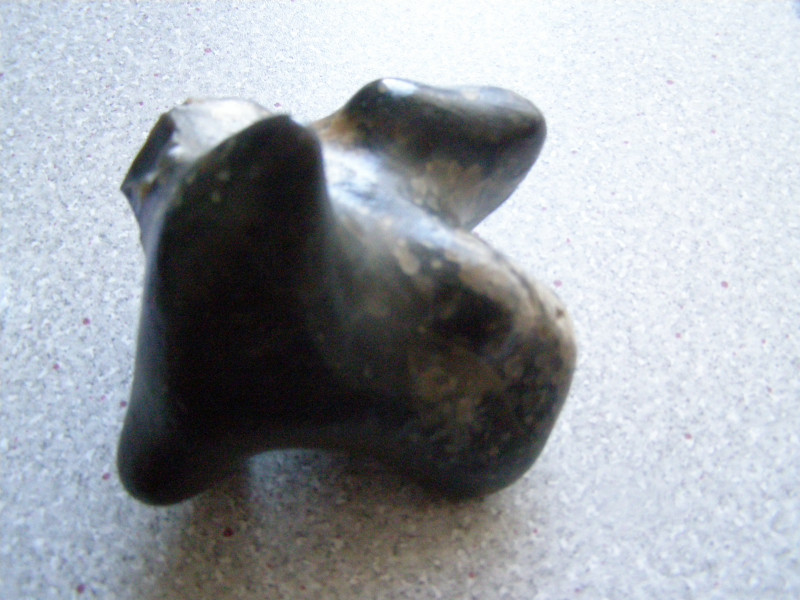 PA250014.JPG