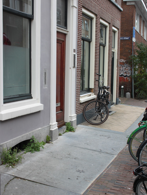 IMG_3290.JPG (1.87 MiB) 2921 keer bekeken Kijk! Hij zit er nog steeds ;-)