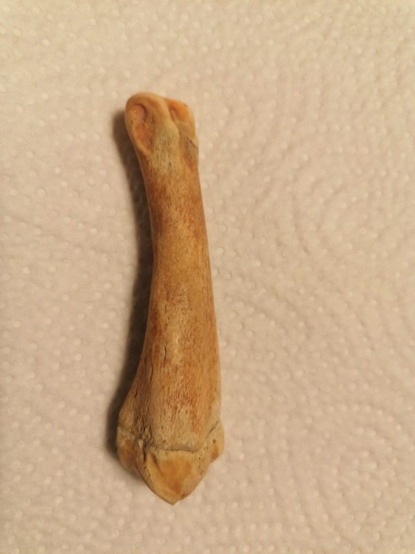 k1WhatsApp Bild 2025-11-08 um 17.01.58_52df2866.jpg (127.85 KiB) 1722 keer bekeken k1WhatsApp Bild 2025-11-08 um 17.01.58_52df2866.jpg