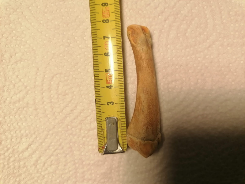 k1WhatsApp Bild 2025-11-08 um 17.01.58_2706b658.jpg (195.49 KiB) 1722 keer bekeken k1WhatsApp Bild 2025-11-08 um 17.01.58_2706b658.jpg