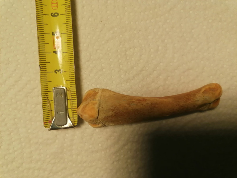 k1WhatsApp Bild 2025-11-08 um 17.01.58_663855c5.jpg (145.43 KiB) 1724 keer bekeken k1WhatsApp Bild 2025-11-08 um 17.01.58_663855c5.jpg