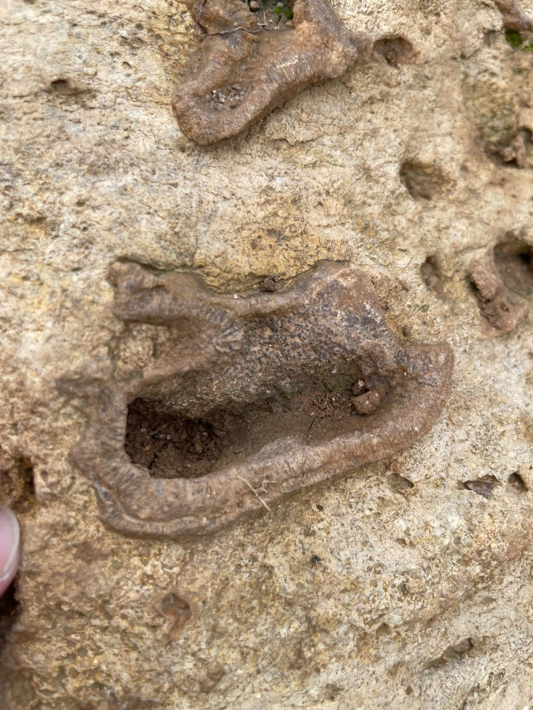 WhatsApp Image 2025-11-14 at 14.20.43(1).jpeg