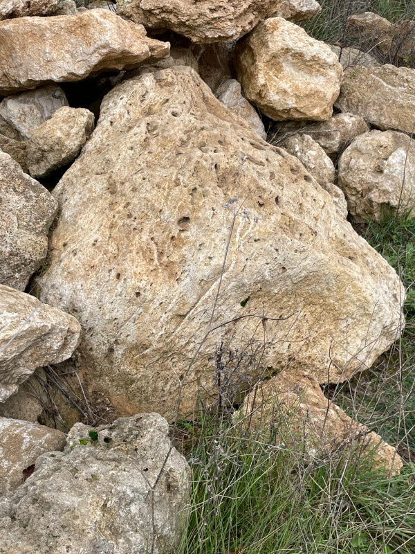 WhatsApp Image 2025-11-14 at 14.20.43(2).jpeg