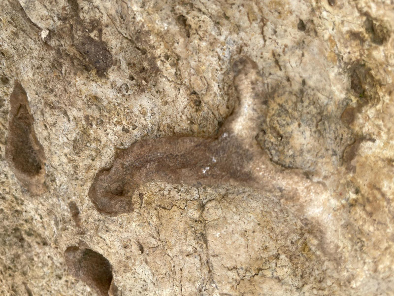 WhatsApp Image 2025-11-14 at 14.20.43(3).jpeg