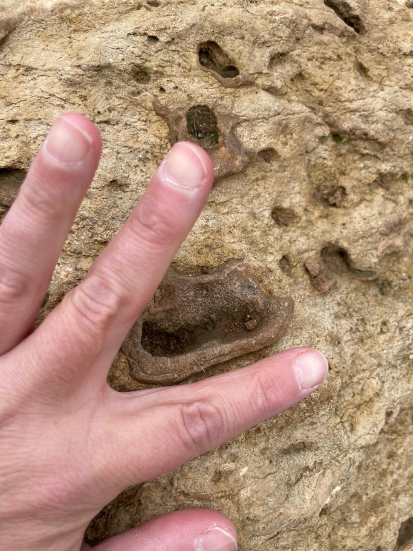 WhatsApp Image 2025-11-14 at 14.20.43.jpeg