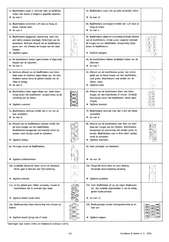 Screenshot 2025-12-06 160131.jpg