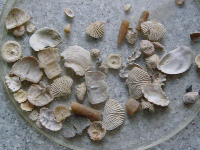 PC080022.JPG (1.47 MiB) 11 keer bekeken PC080022.JPG