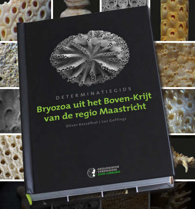 Bryozoa uit het Boven-Krijt van de regio Maastricht.jpg