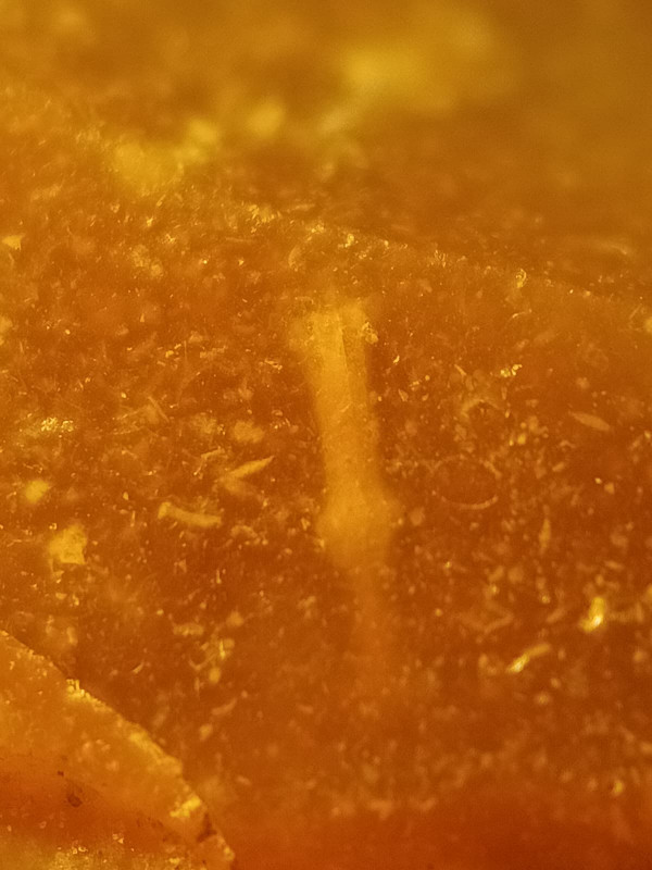 WhatsApp Image 2025-12-23 at 21.27.03 (1).jpeg