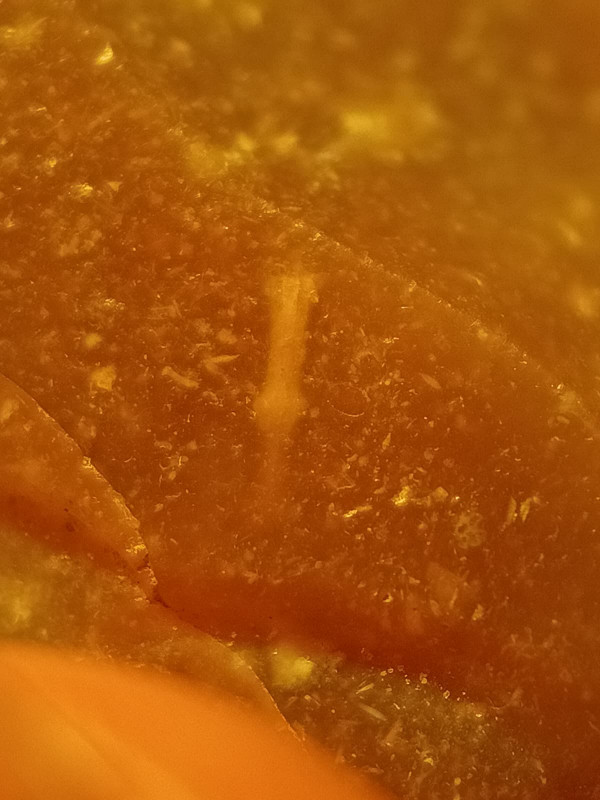 WhatsApp Image 2025-12-23 at 21.27.03.jpeg