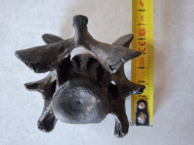 Wervel 1 met meetlint