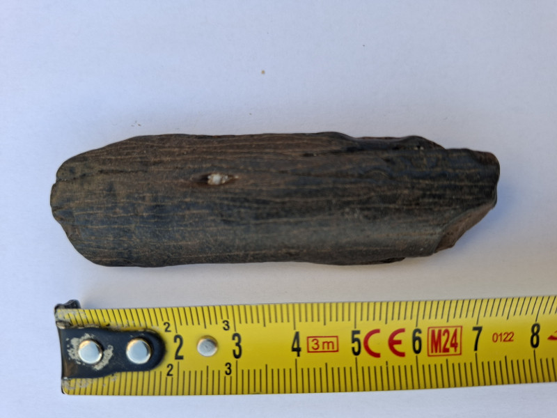 Versteend hout buitenkant.jpg