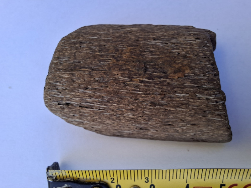 Dit lijkt me een ijstijd-dier