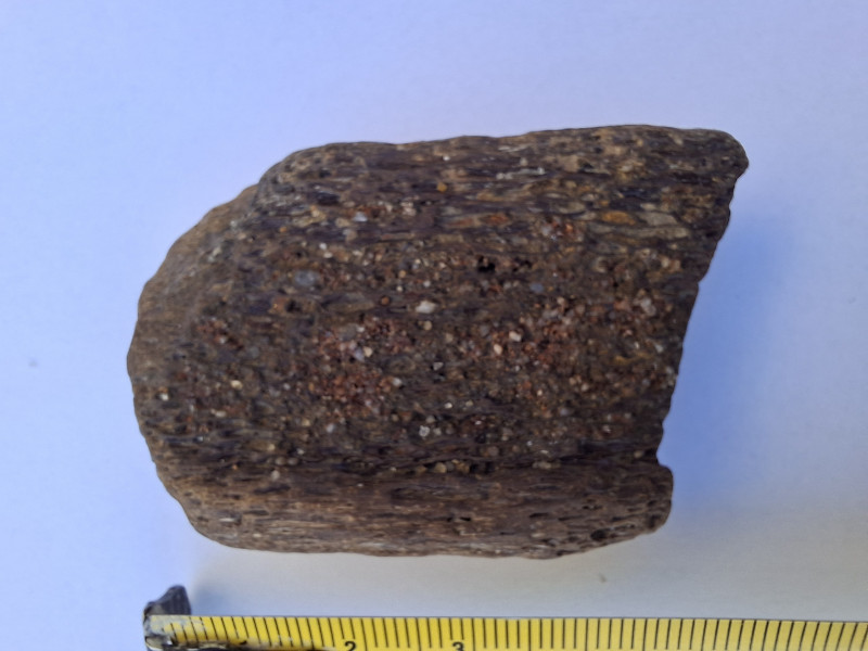 Dit lijkt me een ijstijd-dier